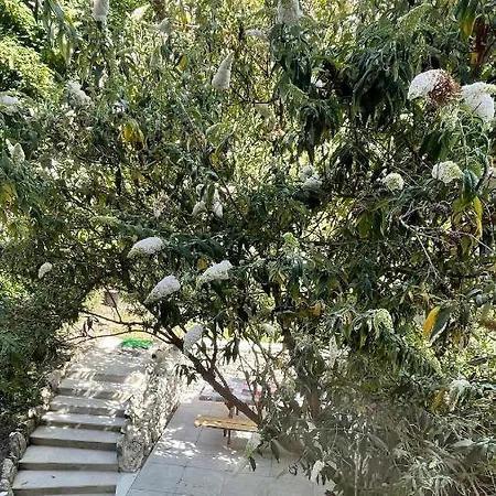 Au Jardin De La Basilique דירה *