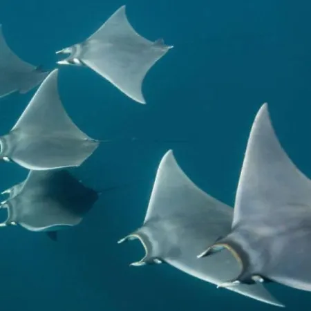 Au Jardin De La Basilique