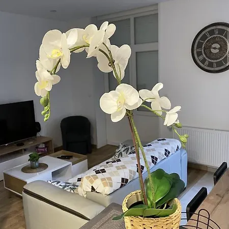 Au Jardin De La Basilique Apartamento Boulogne-sur-Mer