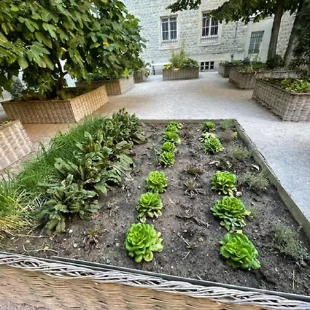 Au Jardin De La Basilique Apartmán