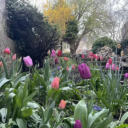 Au Jardin De La Basilique Apartamento *